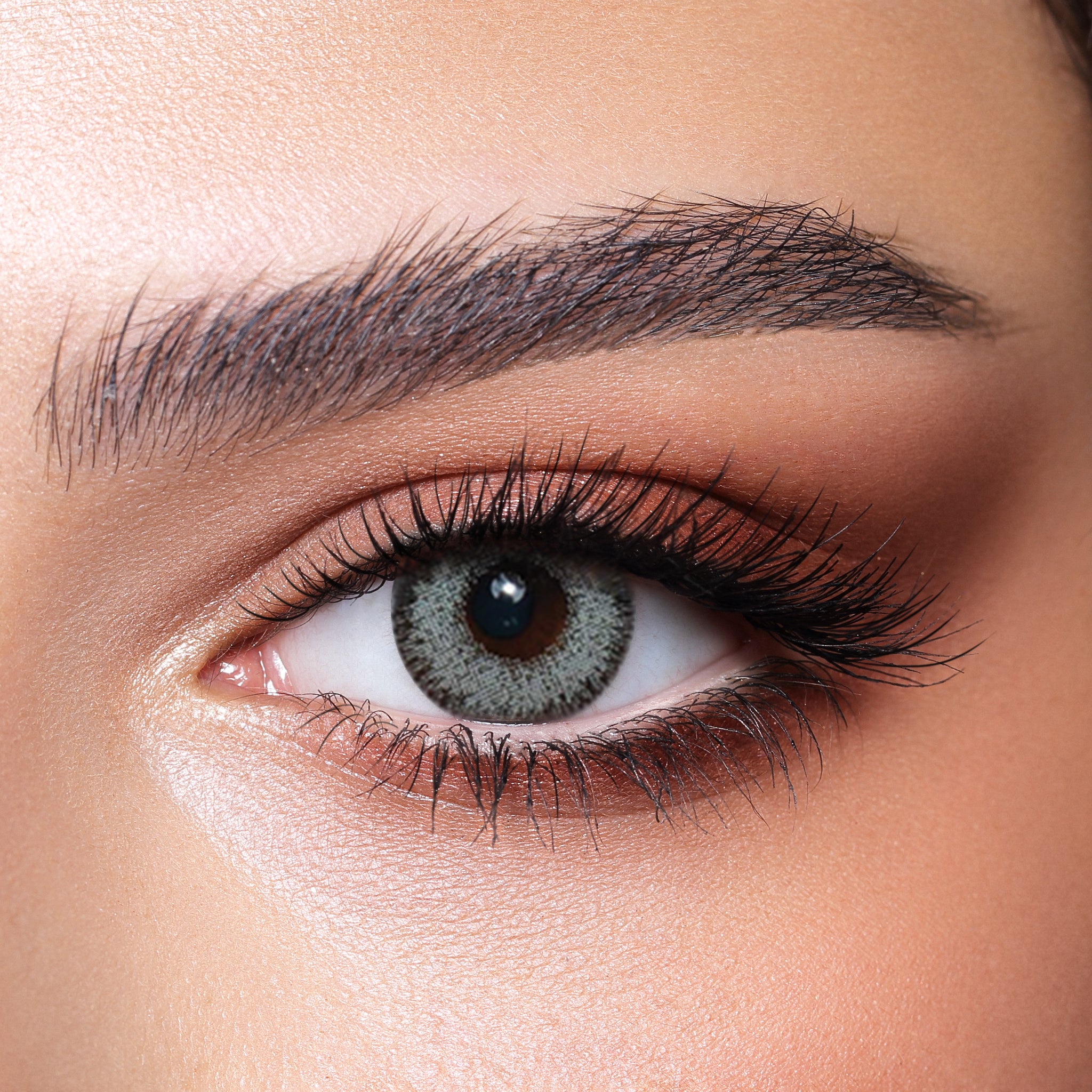 Glow Husky Grey Green - Punjab Optics - Power & Colour Lens - Bella Contact Lenses