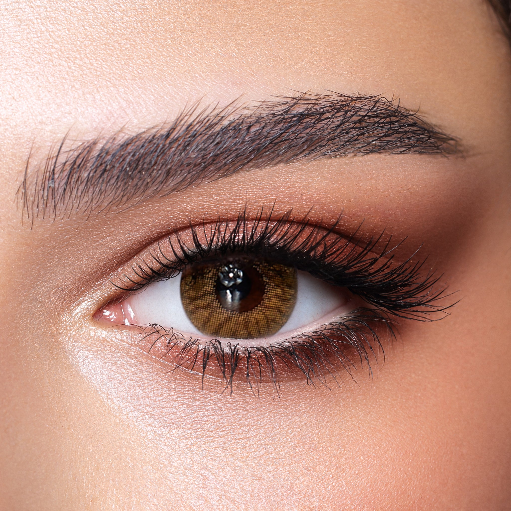 Radiant Hazelnut - FIVE PAIRS - Punjab Optics - Power & Colour Lens - Bella Contact Lenses