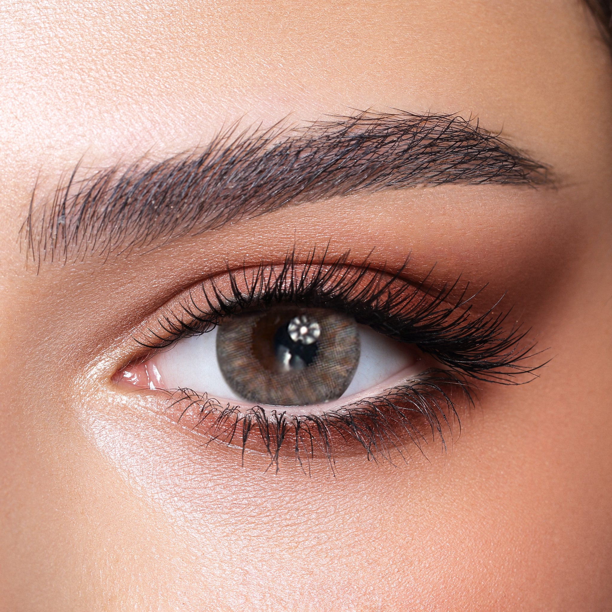 Rosewood - FIVE PAIRS - Punjab Optics - Power & Colour Lens - Bella Contact Lenses